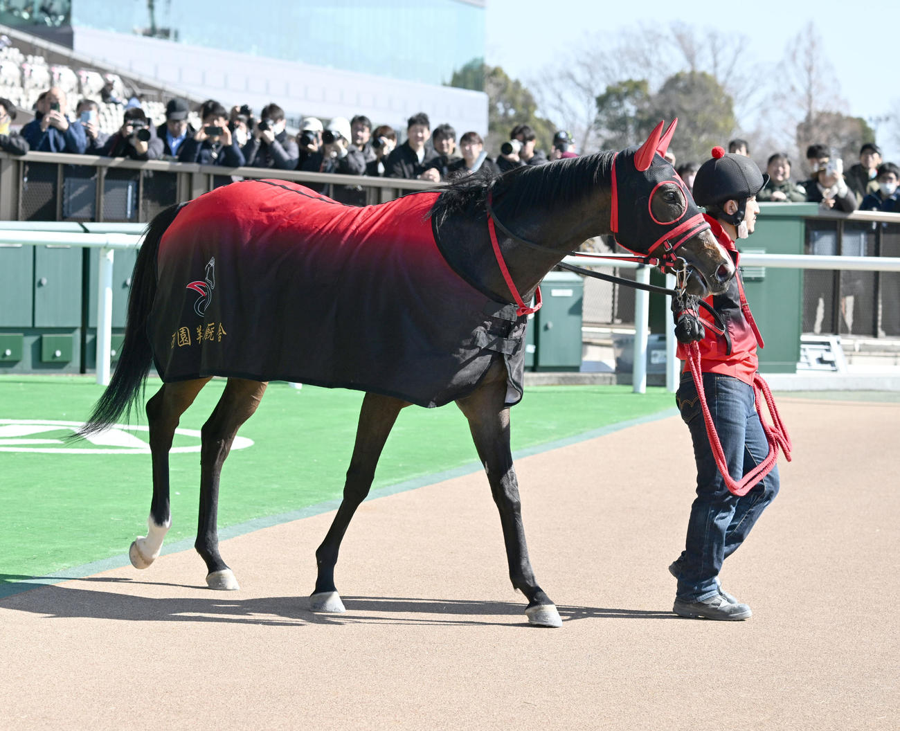 東京2R、3歳新馬戦を川田騎手で制したウイントワイライト（撮影・千葉一成）