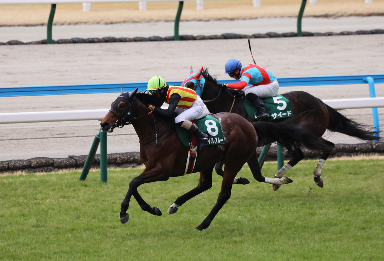 小倉8R、8番スマイルスルーと高田騎手は直線で逃げ切り、小倉ジャンプSを制した（撮影・鬼束羽瑠菜）