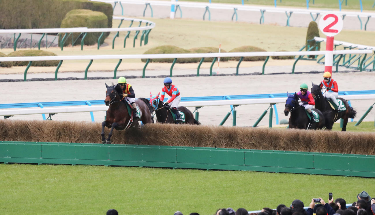 小倉8R、8番スマイルスルーと高田潤騎手は直線で逃げ切り、小倉ジャンプSを制した（撮影・鬼束羽瑠菜）