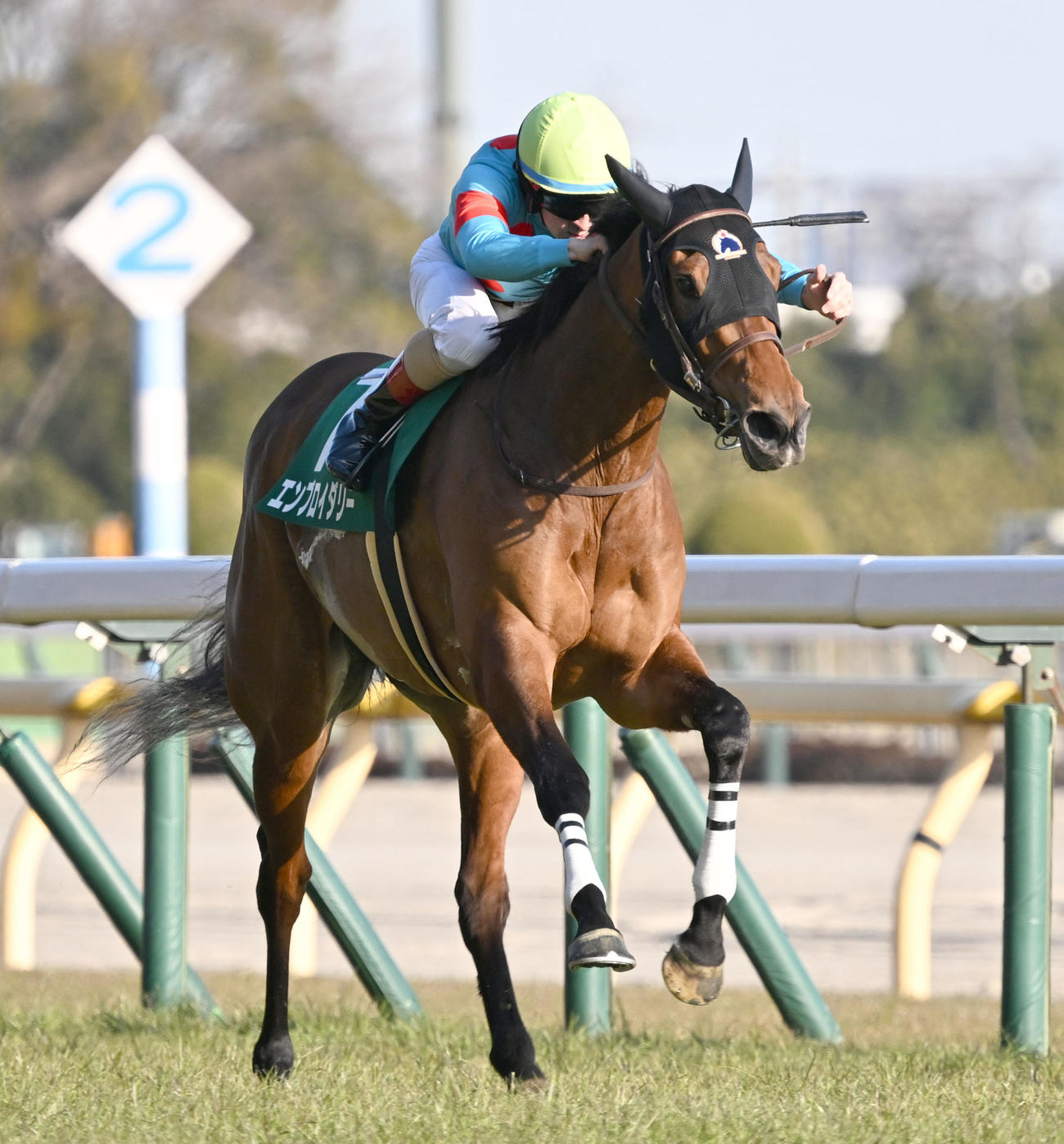 東京11R、デイリー杯クイーンCを制したエンブロイダリーとルメール騎手（撮影・千葉一成）