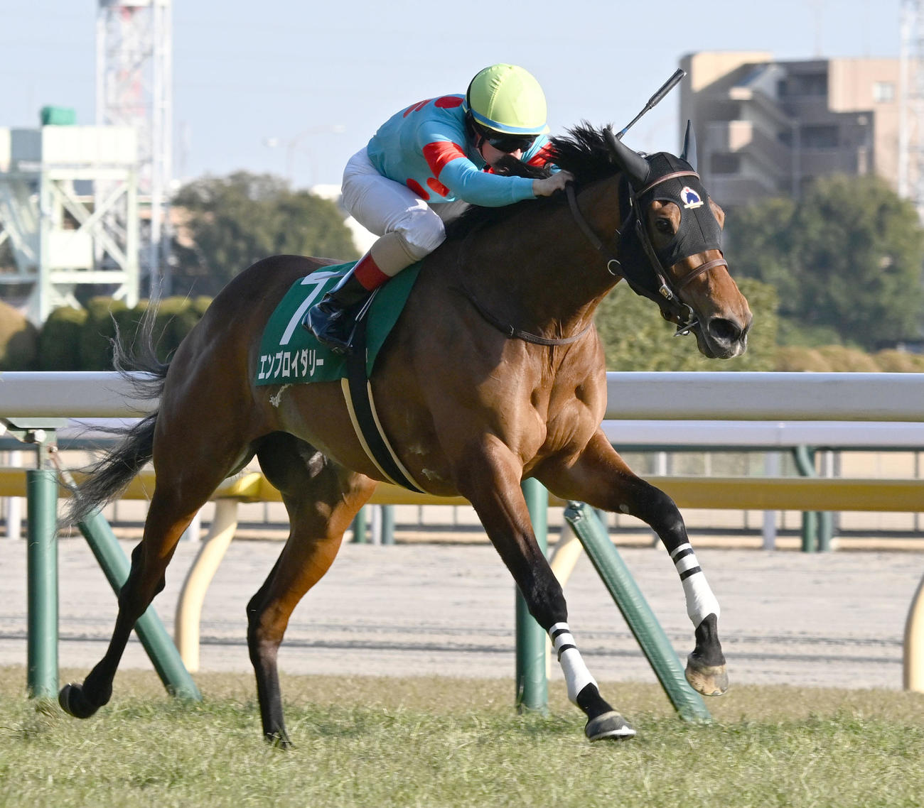 東京11R、デイリー杯クイーンCを制したエンブロイダリーとルメール騎手（撮影・千葉一成）