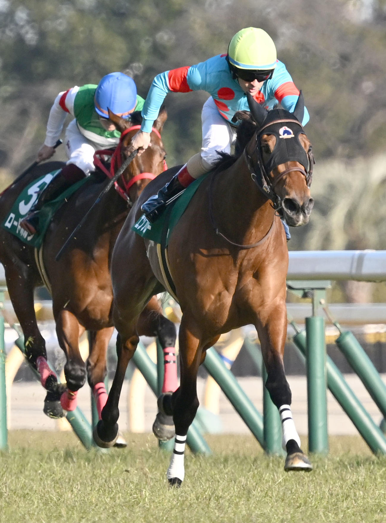 クイーンCを制したエンブロイダリーとルメール騎手（撮影・千葉一成）