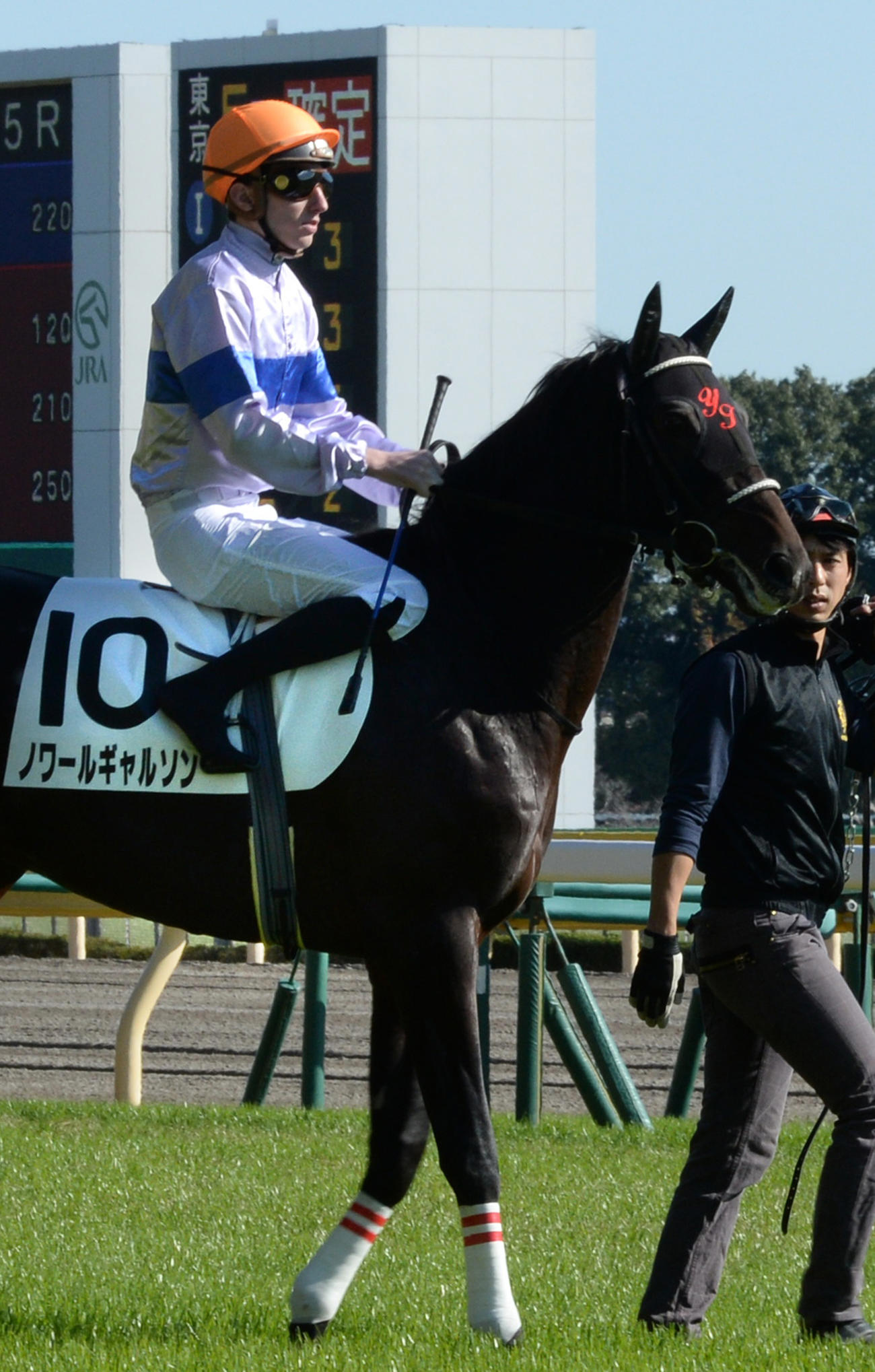 14年11月15日東京6R、靴下で騎乗したブドー騎手
