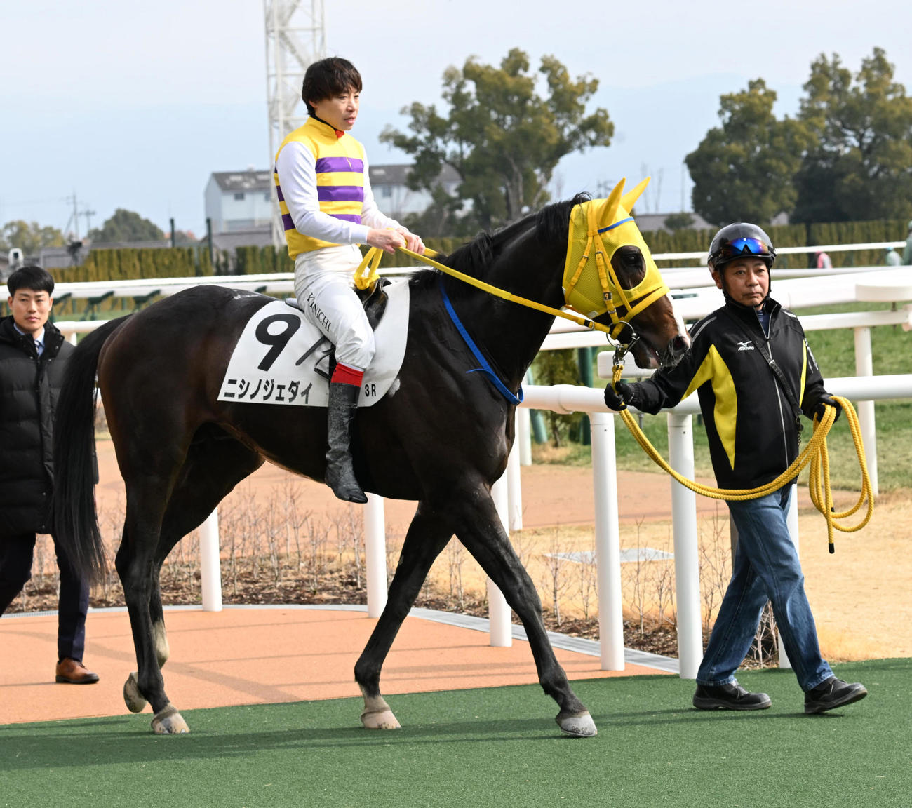 京都3R、3歳未勝利を制したニシノジェダイ（撮影・前岡正明）