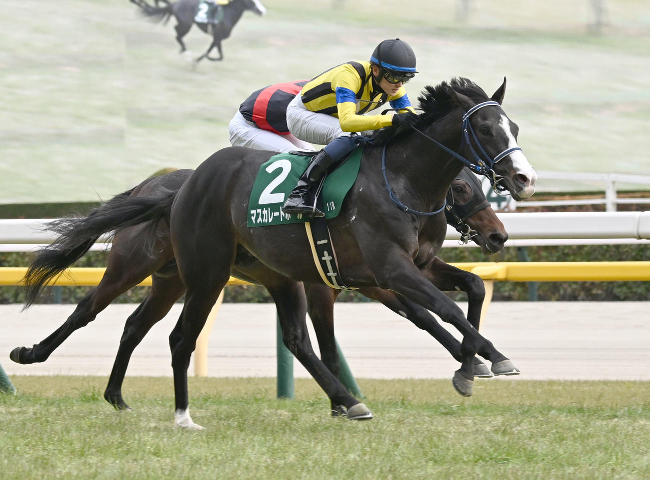 東京11R、共同通信杯を制したマスカレードボールと坂井騎手（撮影・千葉一成）