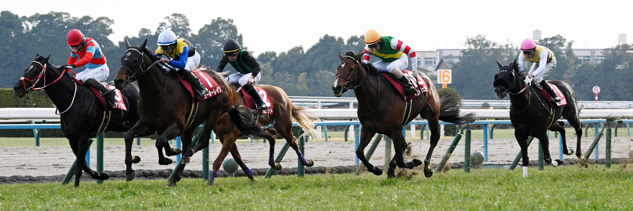 11R、直線抜け出して京都記念を制したヨーホーレイク（撮影・前岡正明）