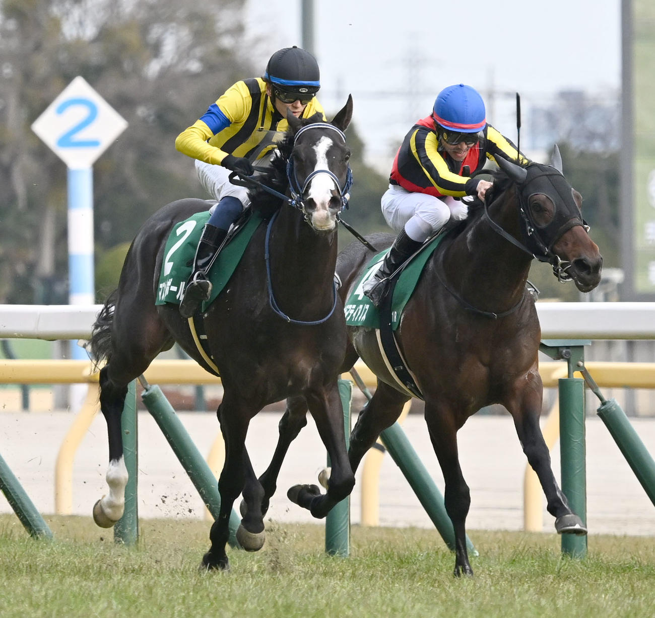 東京11R、共同通信杯を制したマスカレードボールと坂井騎手（左）（撮影・千葉一成）