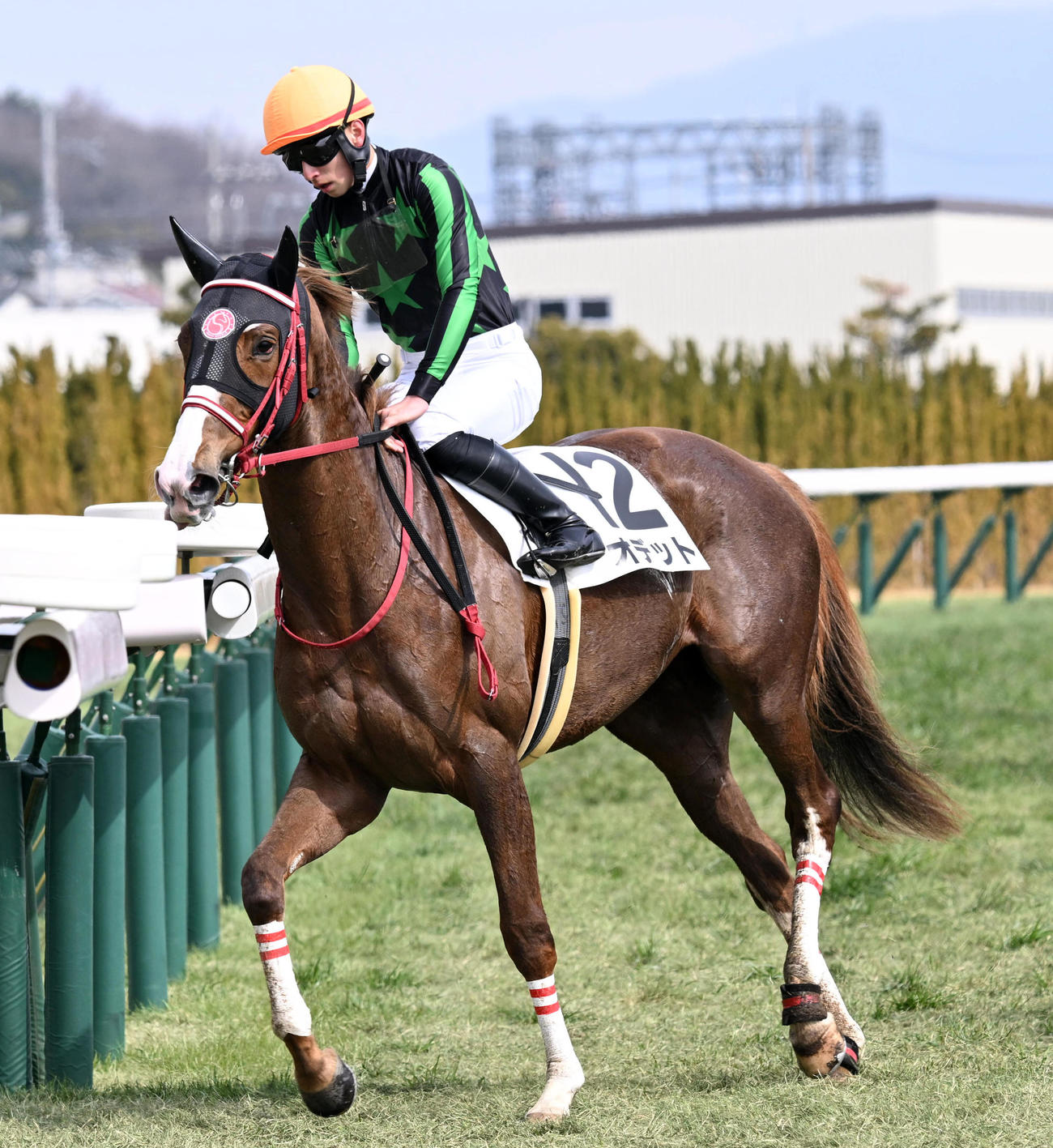 5R3歳未勝利を制したオデット（撮影・前岡正明）