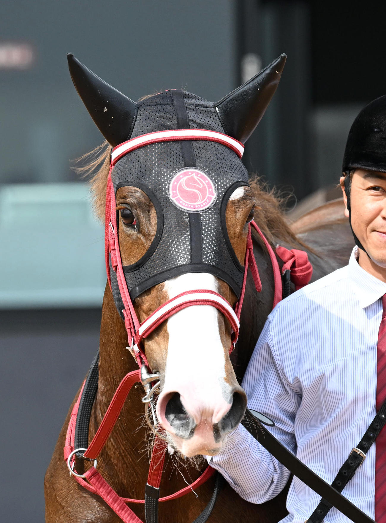5R3歳未勝利を制したオデット
