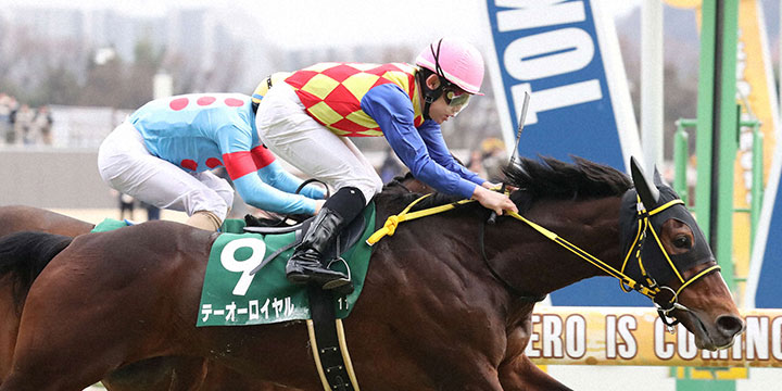 ダイヤモンドSを制したテーオーロイヤルと菱田騎手（撮影・丹羽敏通）＝2024年2月17日、東京競馬場