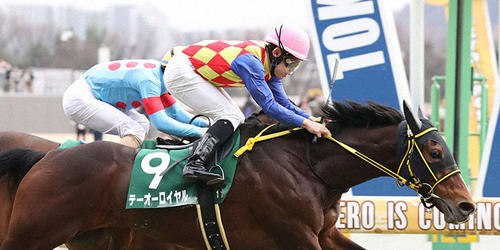 ダイヤモンドSを制したテーオーロイヤルと菱田騎手(撮影・丹羽敏通)=2024年2月17日、東京競馬場