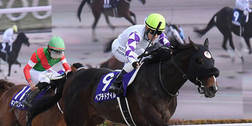 フェブラリーSを制したペプチドナイル（右）＝2024年2月18日、東京競馬場