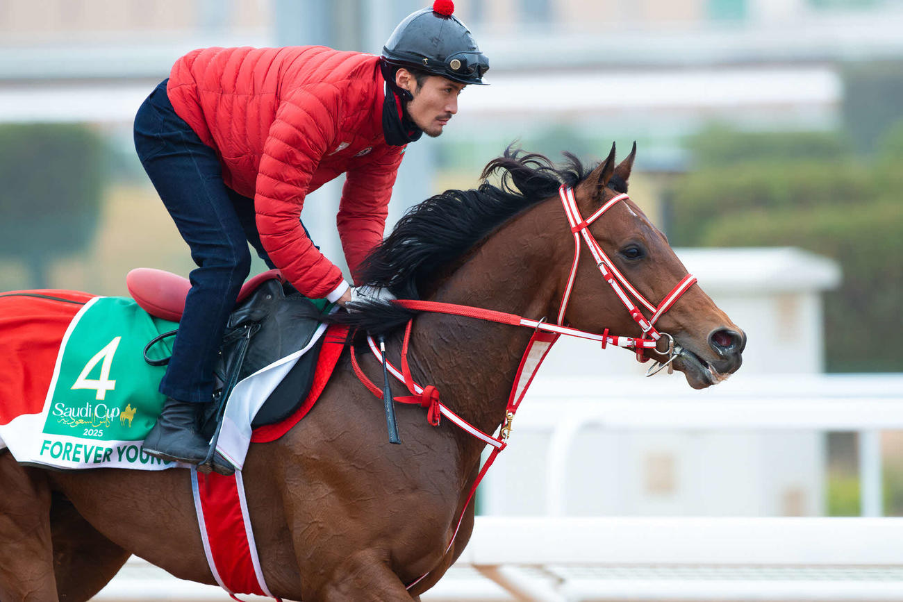 16日朝のフォーエバーヤング（（C）Jockey Club of Saudi Arabia／Ali AlZenaidi）