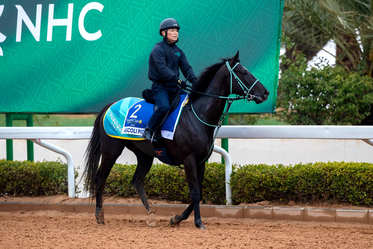16日朝のアスコリピチェーノ（（C）Jockey Club of Saudi Arabia／Ali Al－Abdullah）
