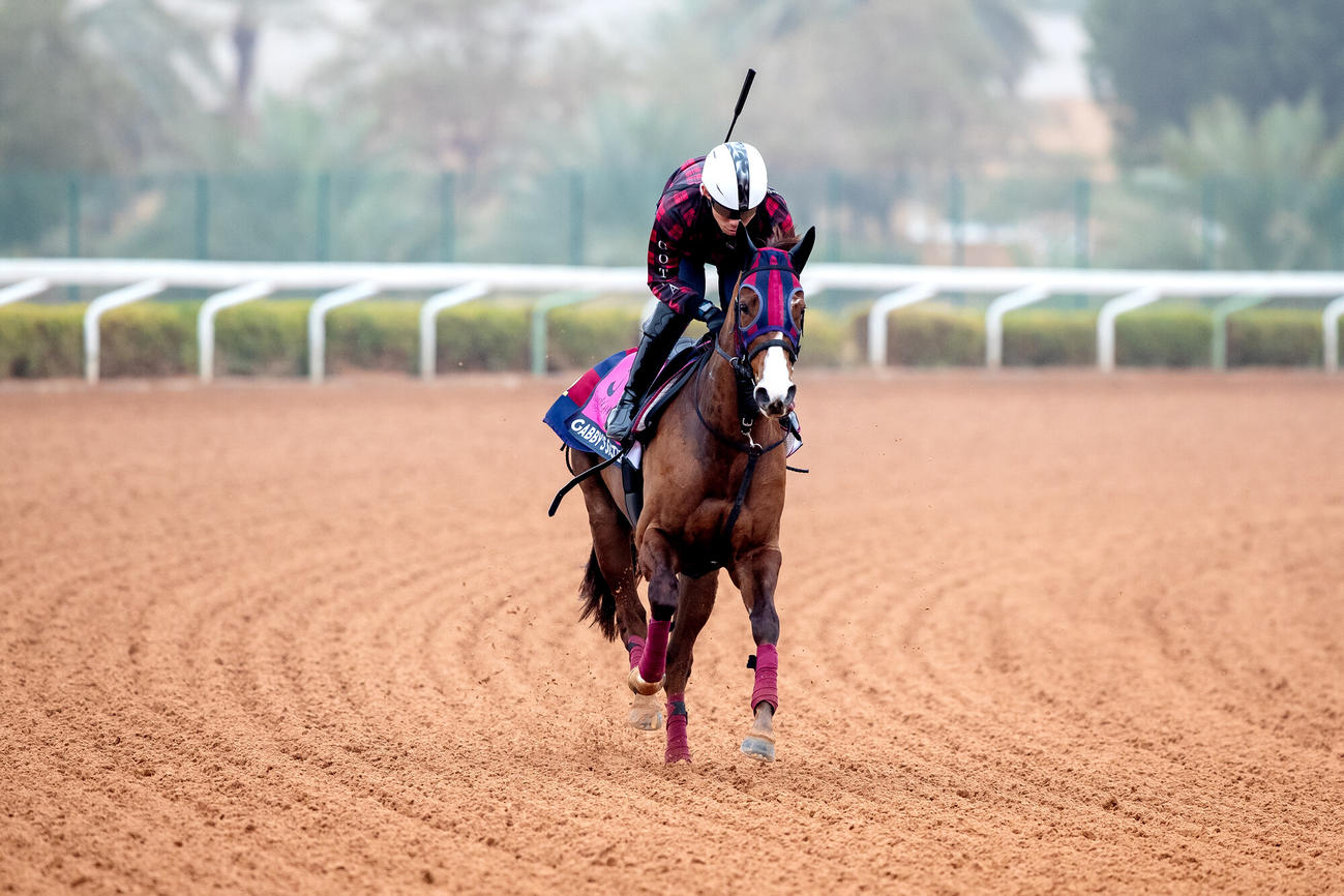16日朝のガビーズシスターと小西助手（（C）Jockey Club of Saudi Arabia／Ali Al－Abdullah）