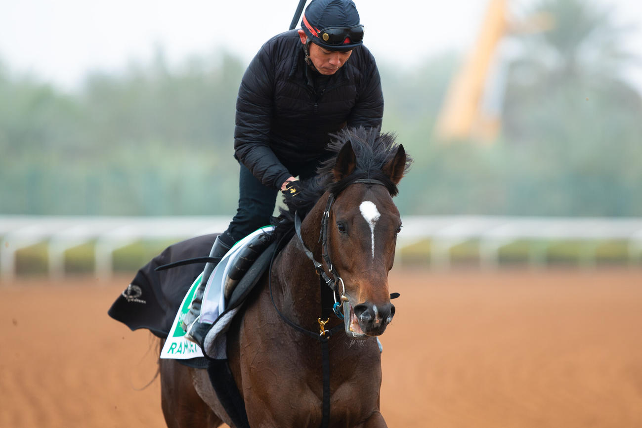 16日朝のラムジェット（（C）Jockey Club of Saudi Arabia／Ali AlZenaidi）