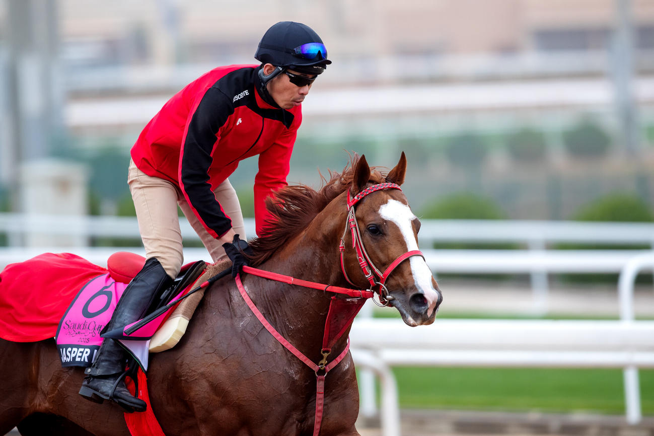 16日朝のジャスパークローネ（（C）Jockey Club of Saudi Arabia／Ali Al－Abdullah）
