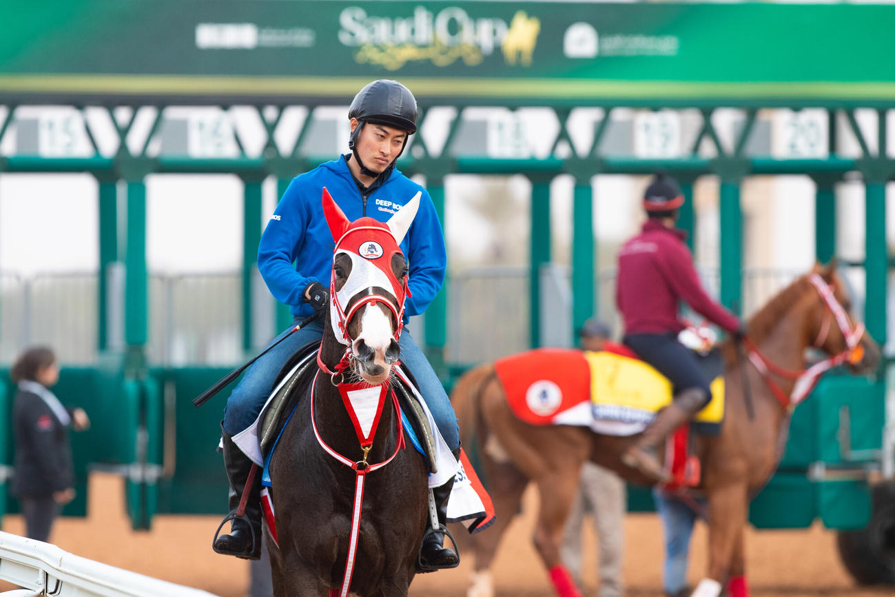 16日朝のミストレス（（C）Jockey Club of Saudi Arabia／Ali AlZenaidi）