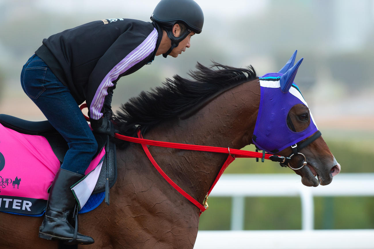 16日朝のイグナイター（（C）Jockey Club of Saudi Arabia／Ali AlZenaidi）