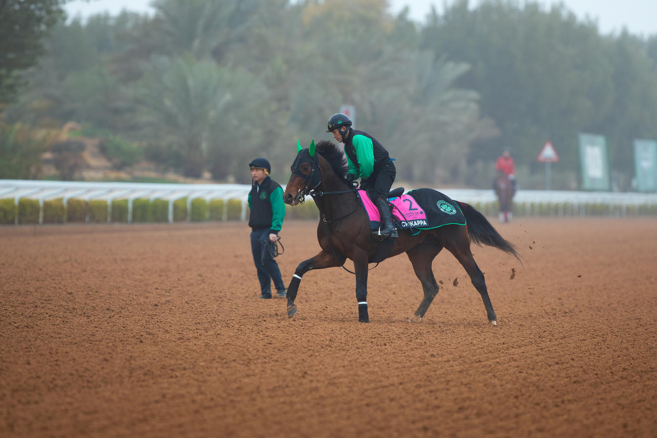 16日朝のチカッパ（（C）Jockey Club of Saudi Arabia／Ali AlZenaidi）