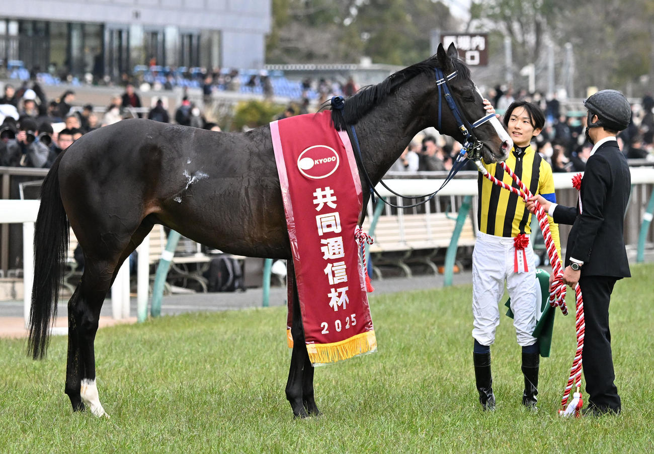 共同通信杯を制したマスカレードボールの顔をなでてねぎらう坂井騎手（撮影・千葉一成）