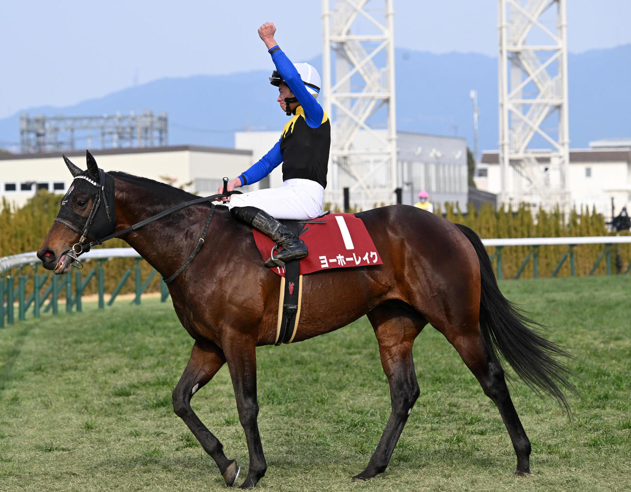 ヨーホーレイクで京都記念を制しガッツポーズの岩田望騎手（撮影・前岡正明）