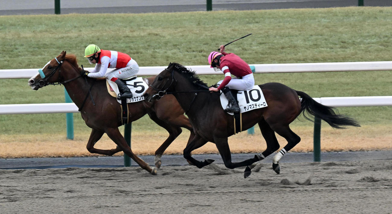 新馬戦を制したショウナンサエッタ（左）（撮影・前岡正明）