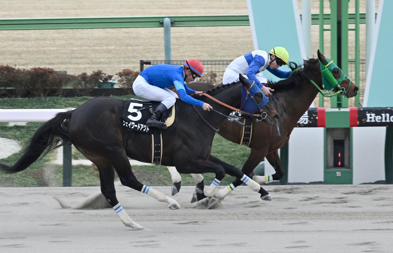 バレンタインSを制したロードエクレールと横山武騎手（右）（撮影・千葉一成）