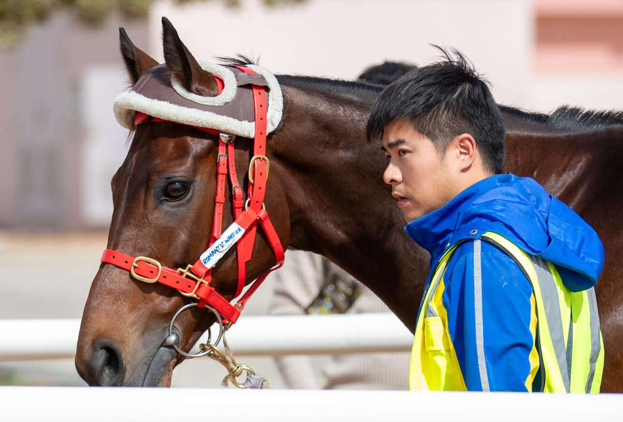サウジ入りしたロマンチックウォリアー（C）Jockey Club of Saudi Arabia／Abdullah Wanas