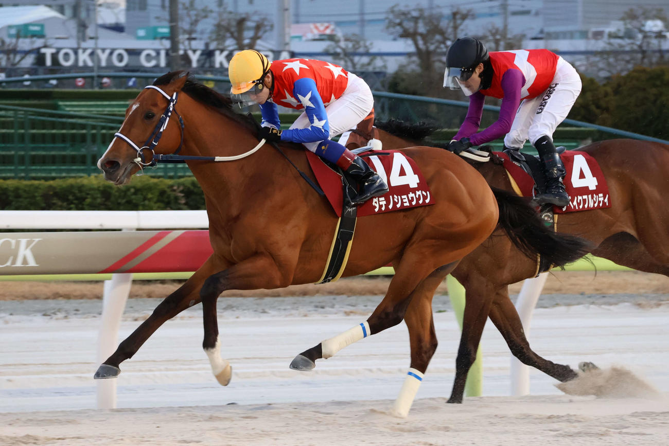 直線で競り勝ち品川オープンを制したダテノショウグンと御神本訓史騎手