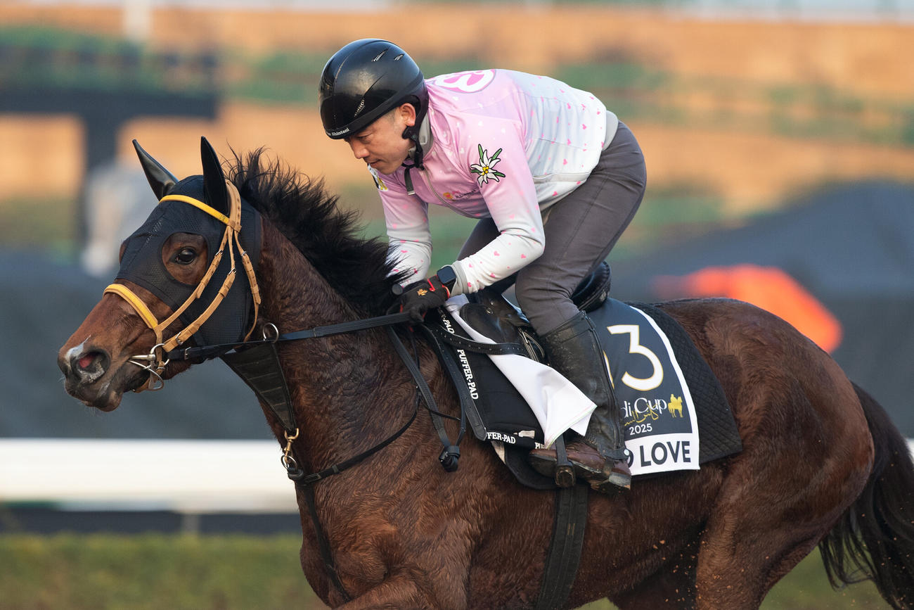 17日朝のミリアッドラヴ（C）Jockey Club of Saudi Arabia／Ali AlZenaidi