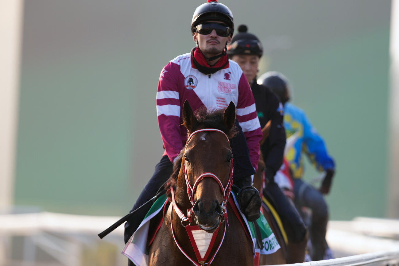 17日朝のフォーエバーヤング（C）Jockey Club of Saudi Arabia／Ali AlZenaidi