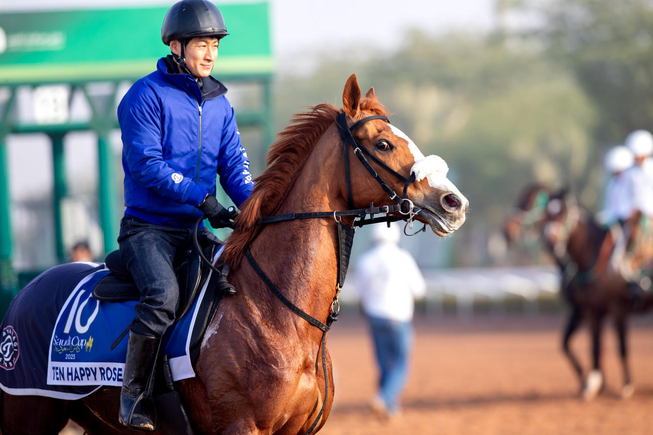 17日朝のテンハッピーローズ（C）Jockey Club of Saudi Arabia／Ali AlZenaidi