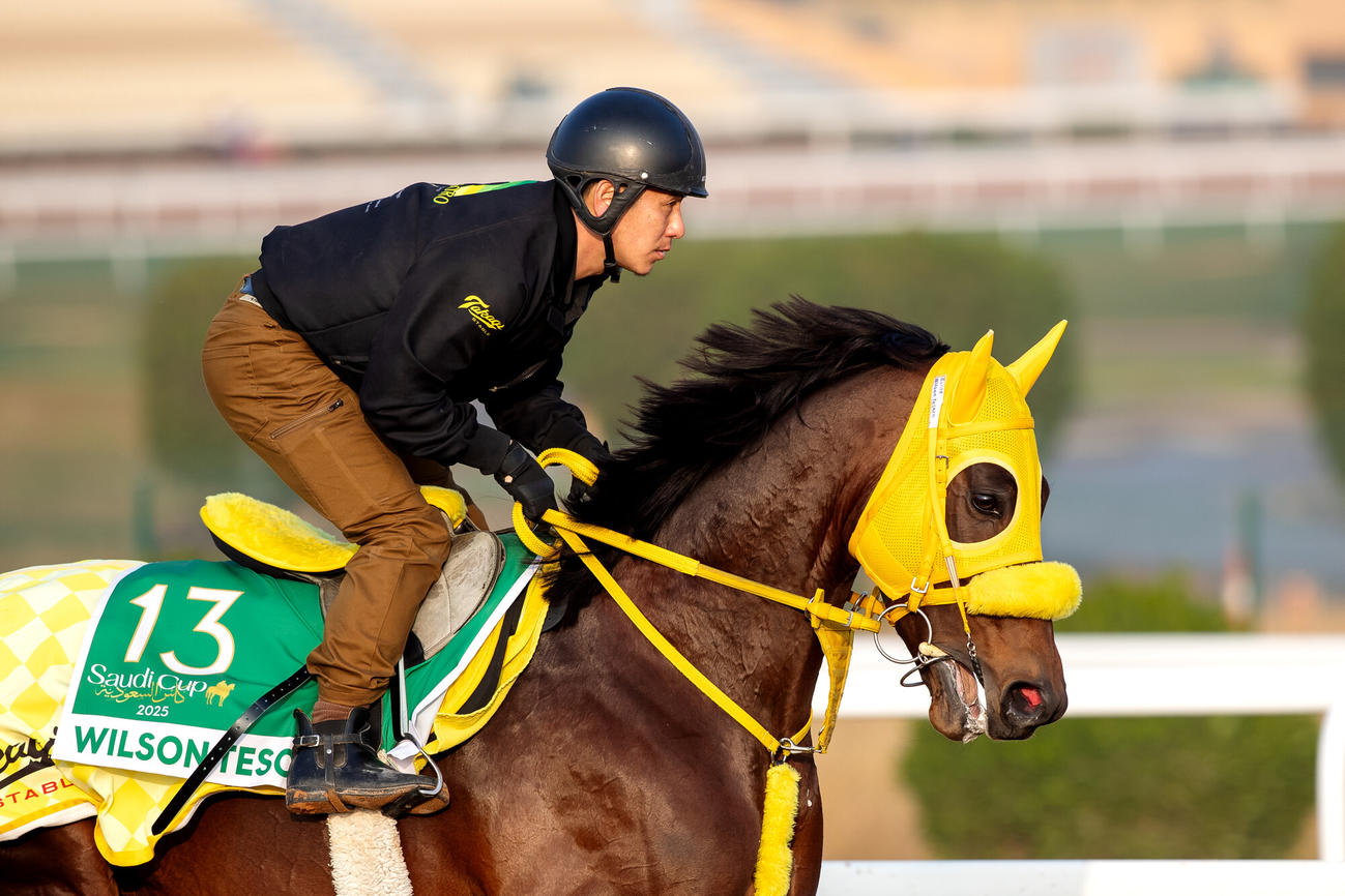 17日朝のウィルソンテソーロ（C）Jockey Club of Saudi Arabia／Ali AlZenaidi
