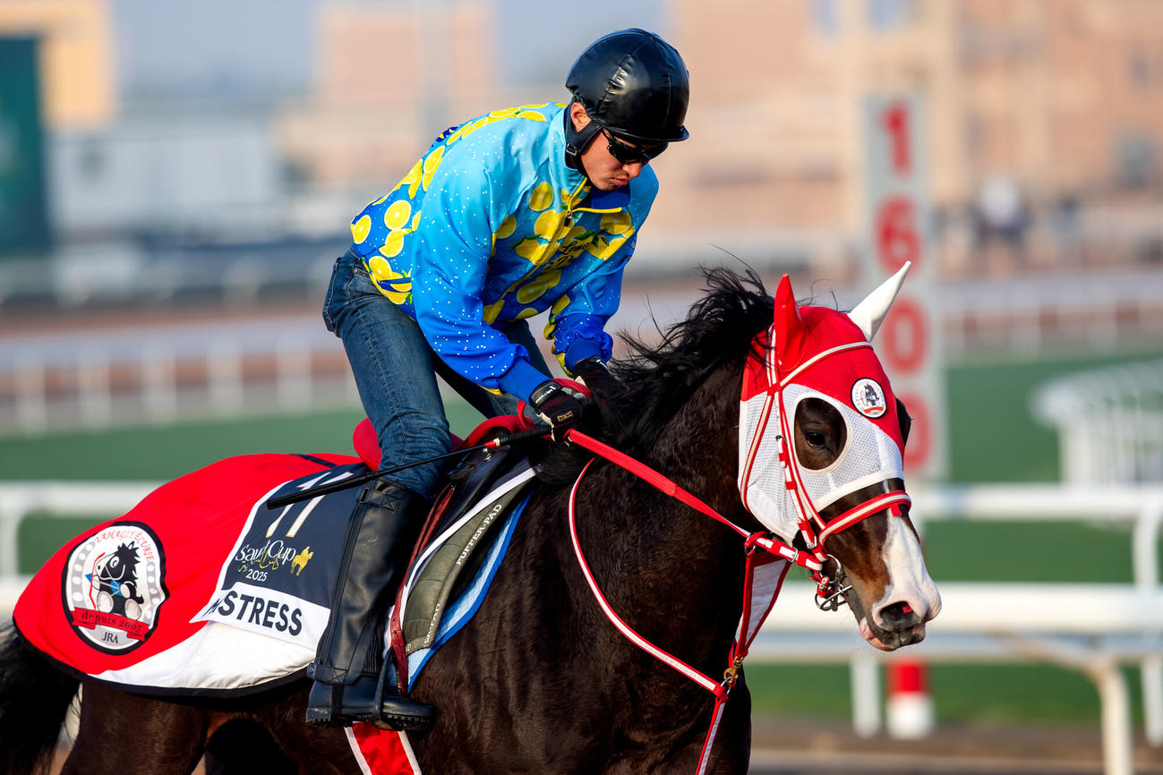 17日朝のミストレス（C）Jockey Club of Saudi Arabia／Ali AlZenaidi