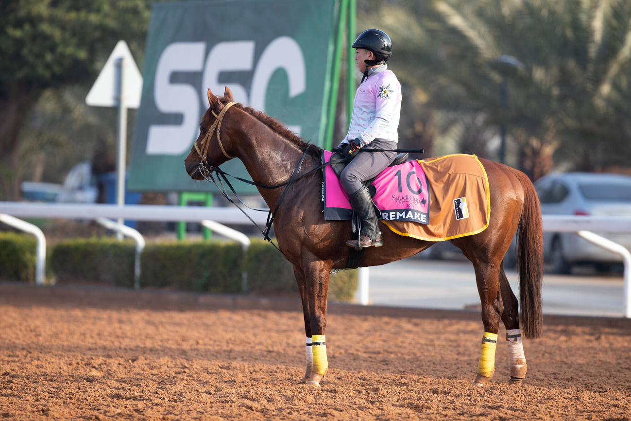17日朝のリメイク（C）Jockey Club of Saudi Arabia／Ali AlZenaidi