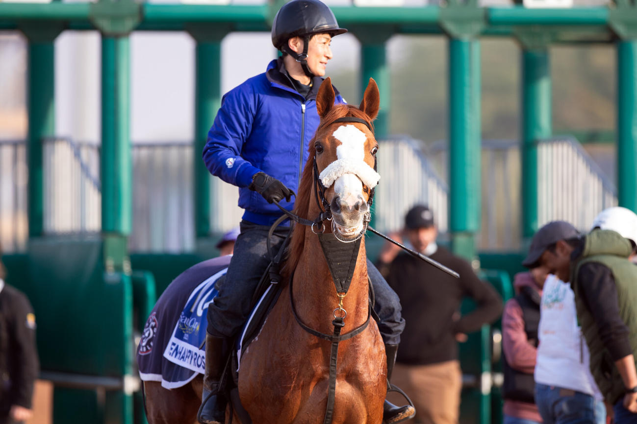 17日朝のテンハッピーローズ（C）Jockey Club of Saudi Arabia／Ali AlZenaidi