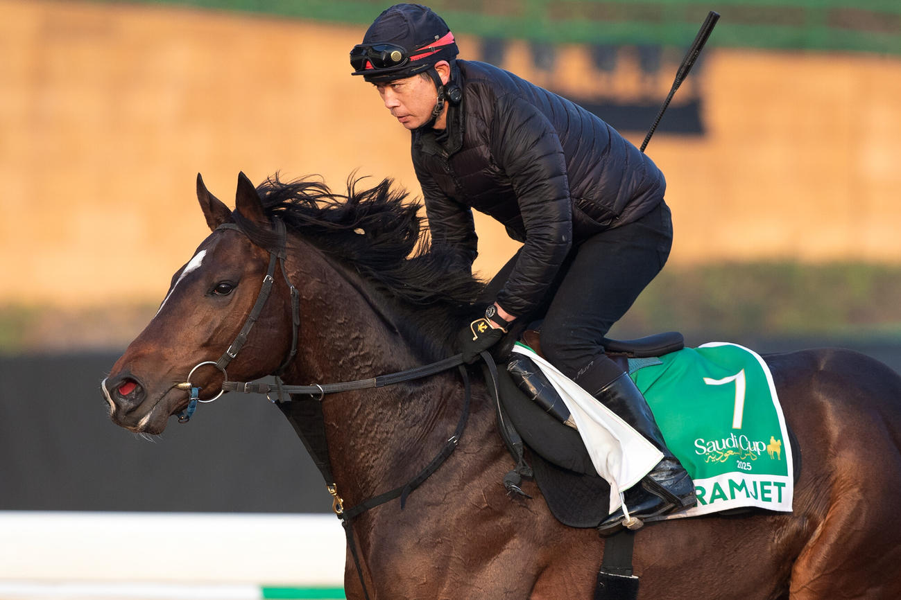 17日朝のラムジェット（C）Jockey Club of Saudi Arabia／Ali AlZenaidi