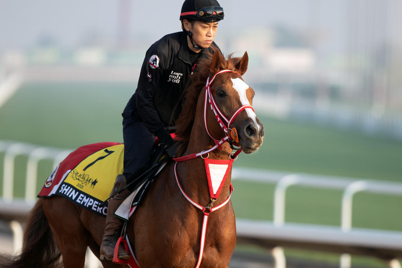 17日朝のシンエンペラー（C）Jockey Club of Saudi Arabia／Ali AlZenaidi