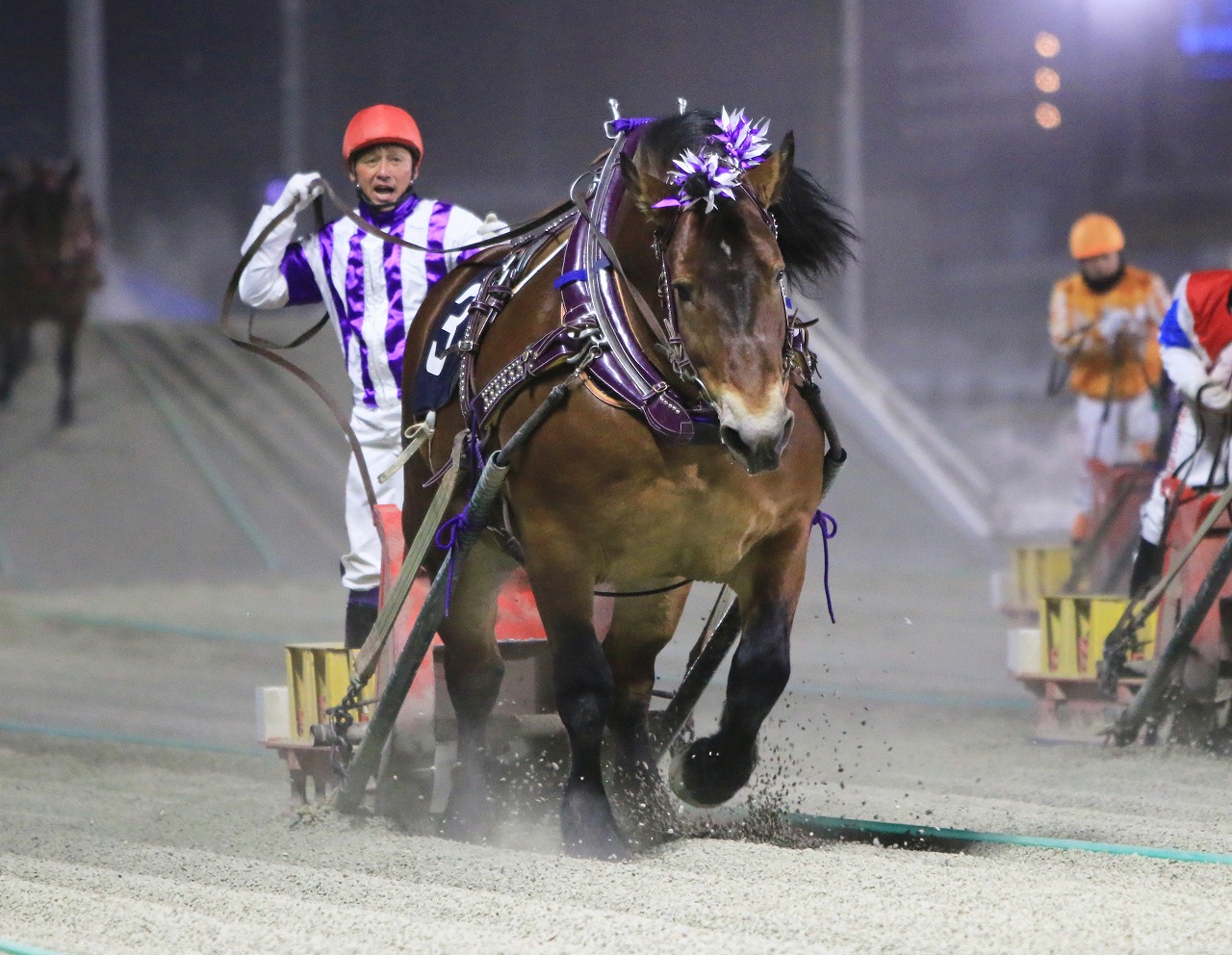 チャンピオンカップを制したメムロボブサップ（写真提供・ばんえい十勝）