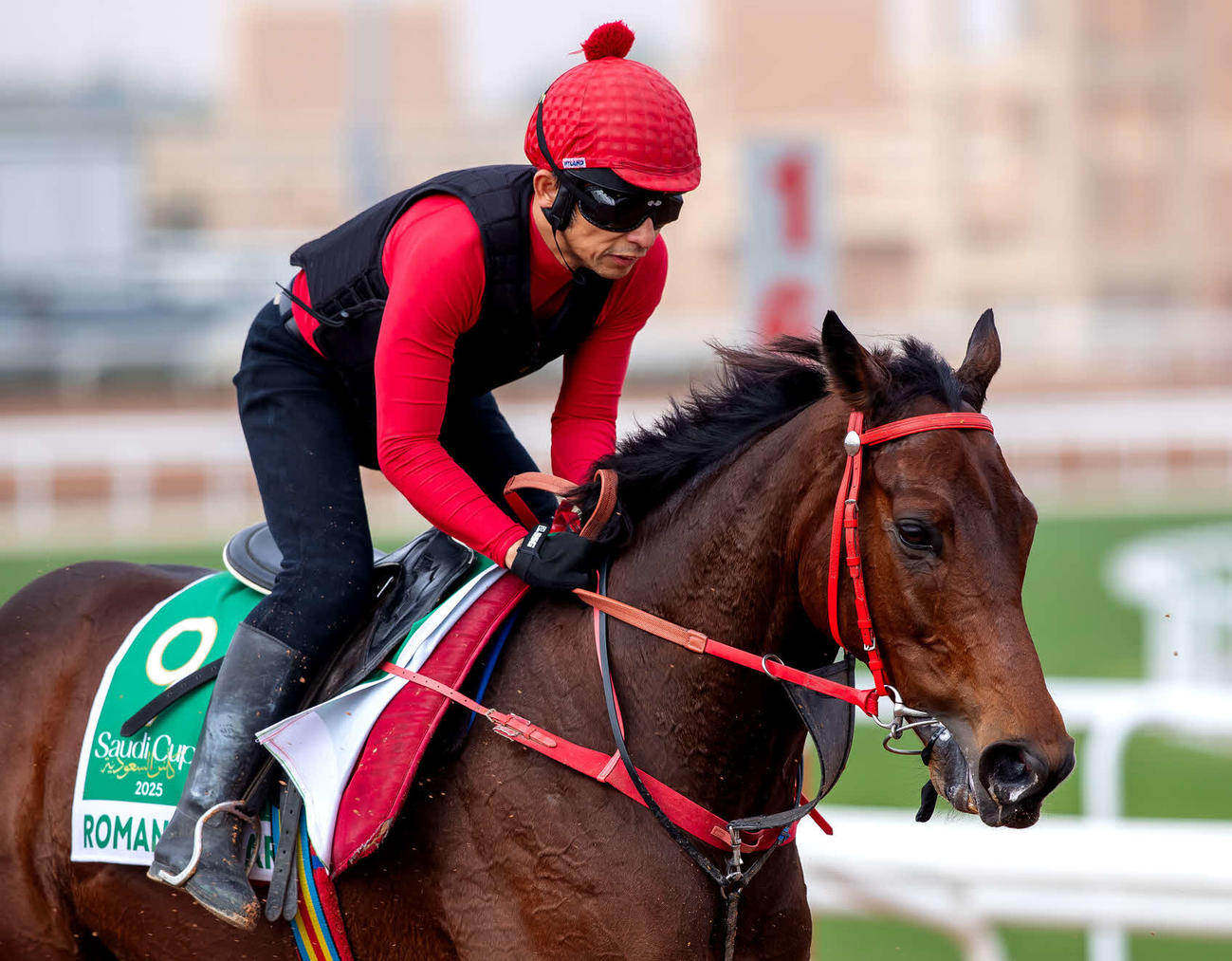 17日のロマンチックウォリアー（C）Jockey Club of Saudi Arabia／Ali AlZenaidi