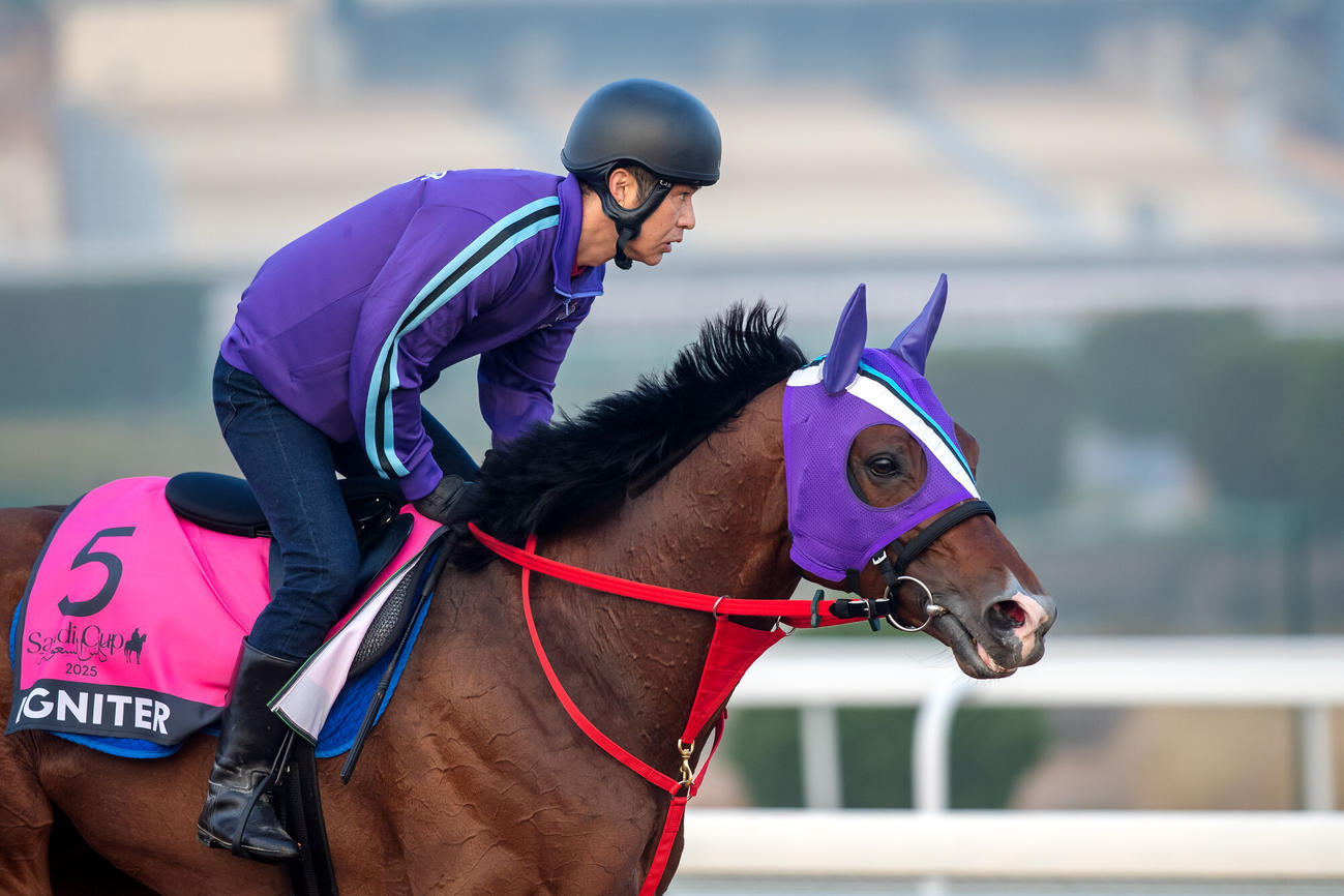 18日朝のイグナイター（C）Jockey Club of Saudi Arabia／Ali AlZenaidi