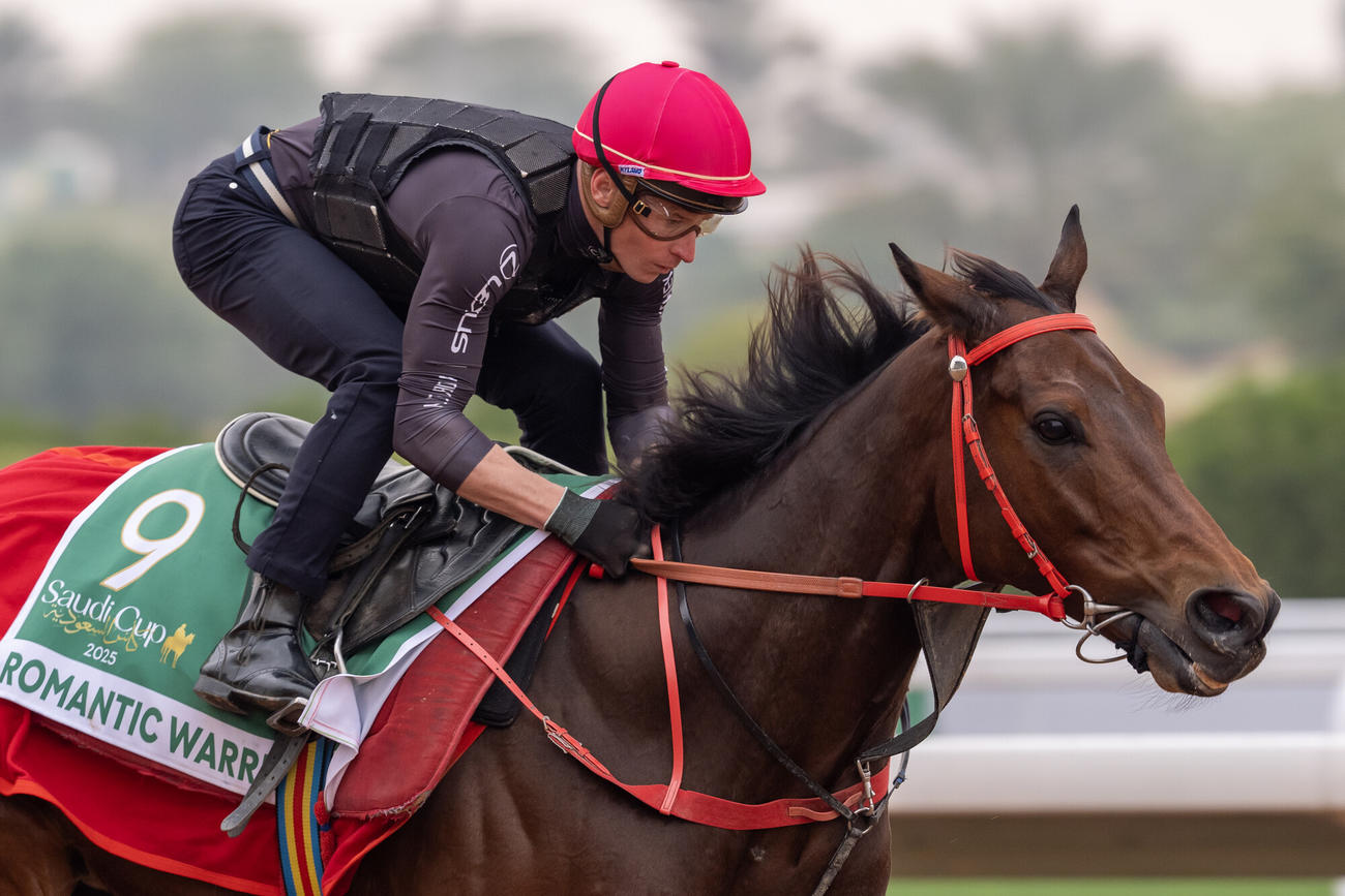 18日朝のロマンチックウォリアー（C）Jockey Club of Saudi Arabia／Mathea Kelley