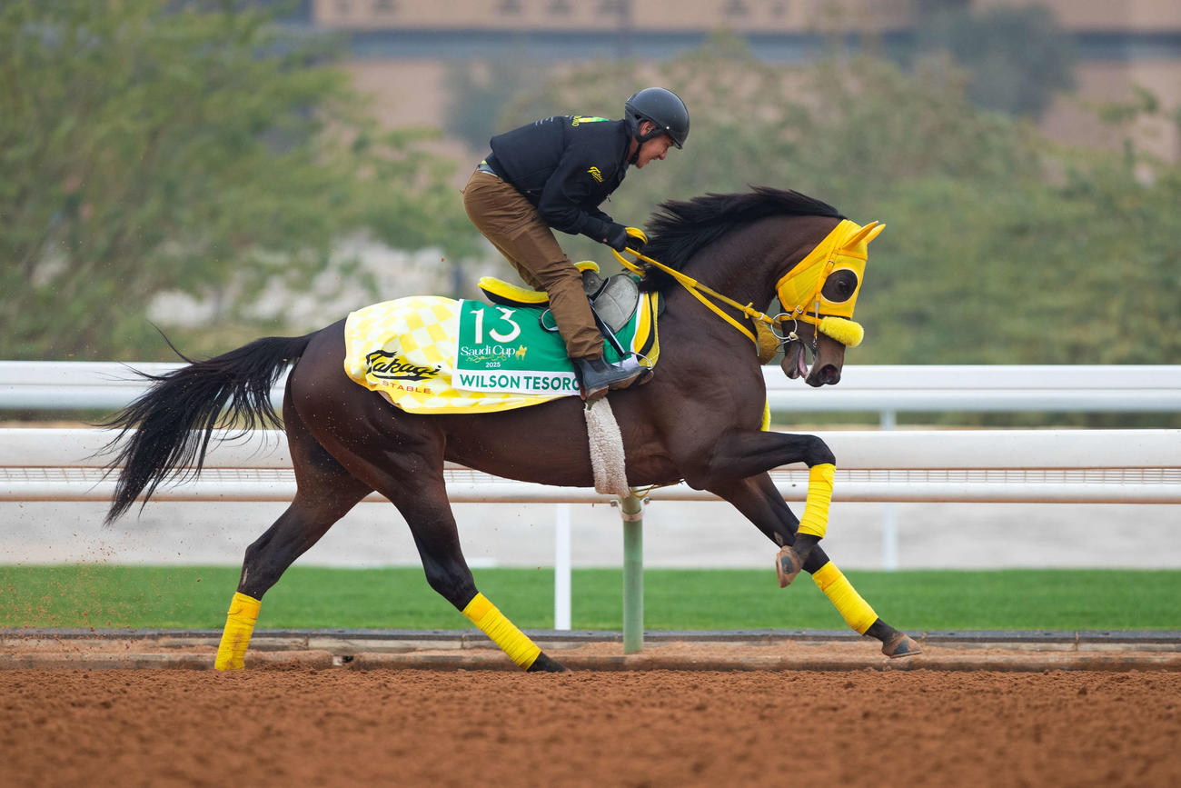 18日朝のウィルソンテソーロ（C）Jockey Club of Saudi Arabia／Ali AlZenaidi