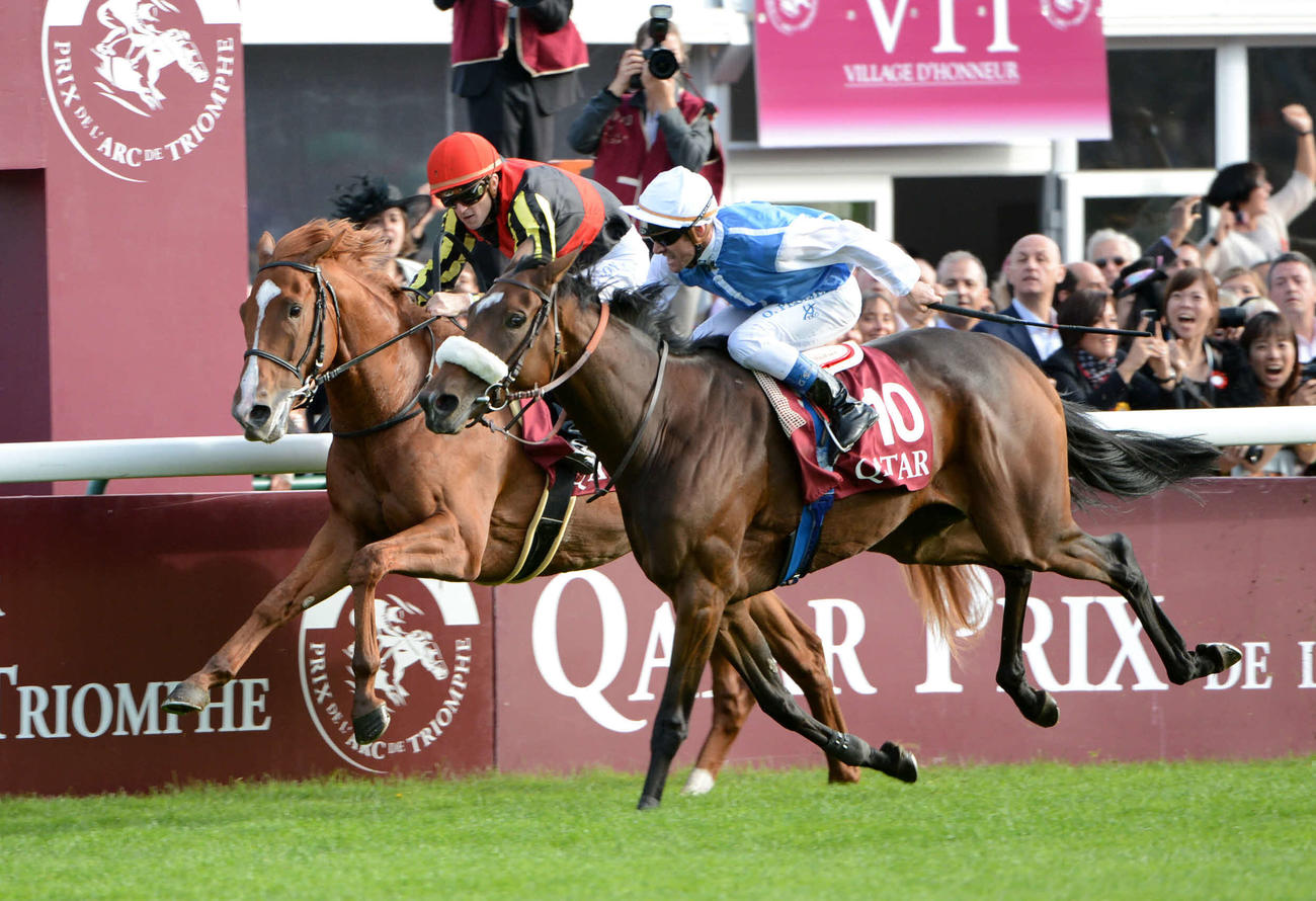 12年凱旋門賞でソレミア（手前）に差され2着に敗れたオルフェーヴル