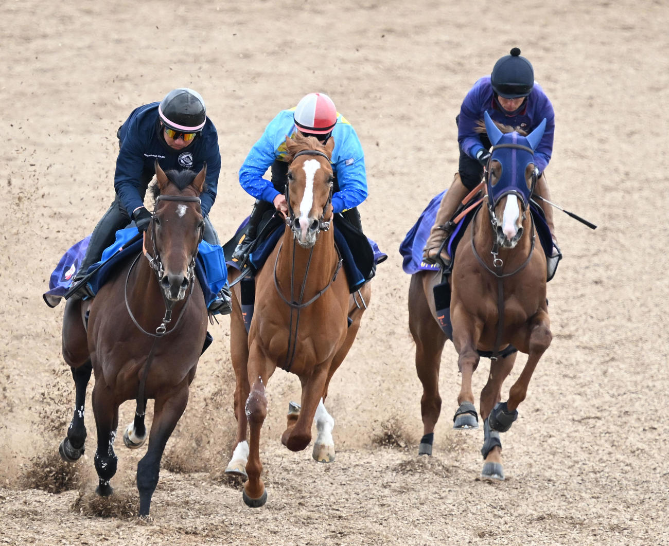 12日、美浦ウッドで3頭併せて追い切るミッキーファイト（右）