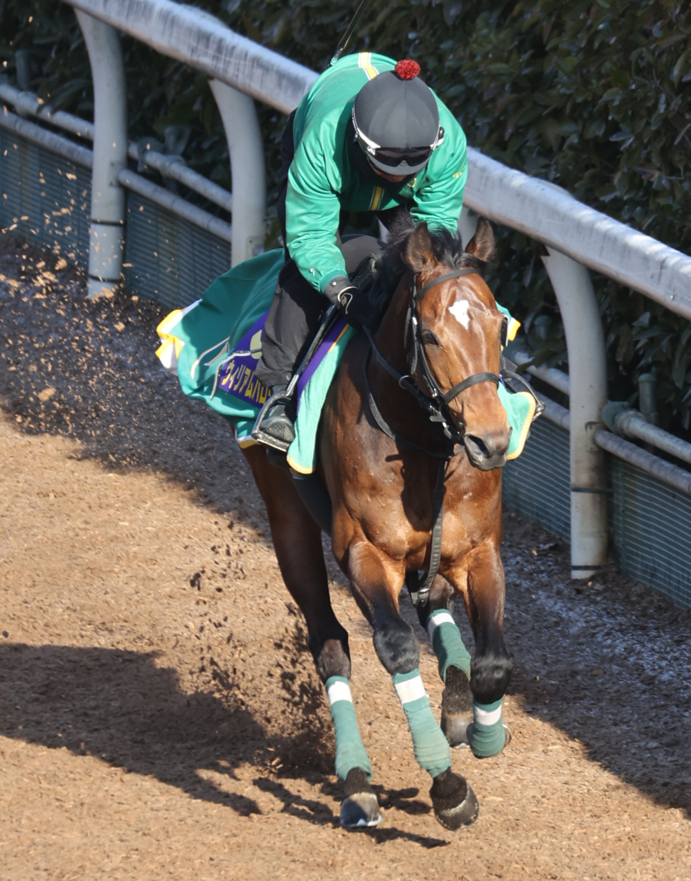 坂路を駆け上がるウィリアムバローズ
