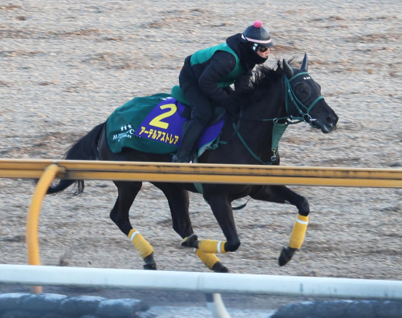 Cウッドで調整するアーテルアストレア