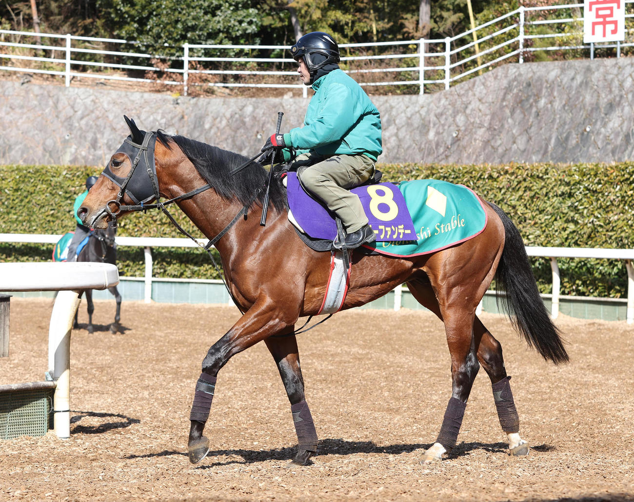 坂路で調整するサンデーファンデー（撮影・白石智彦）