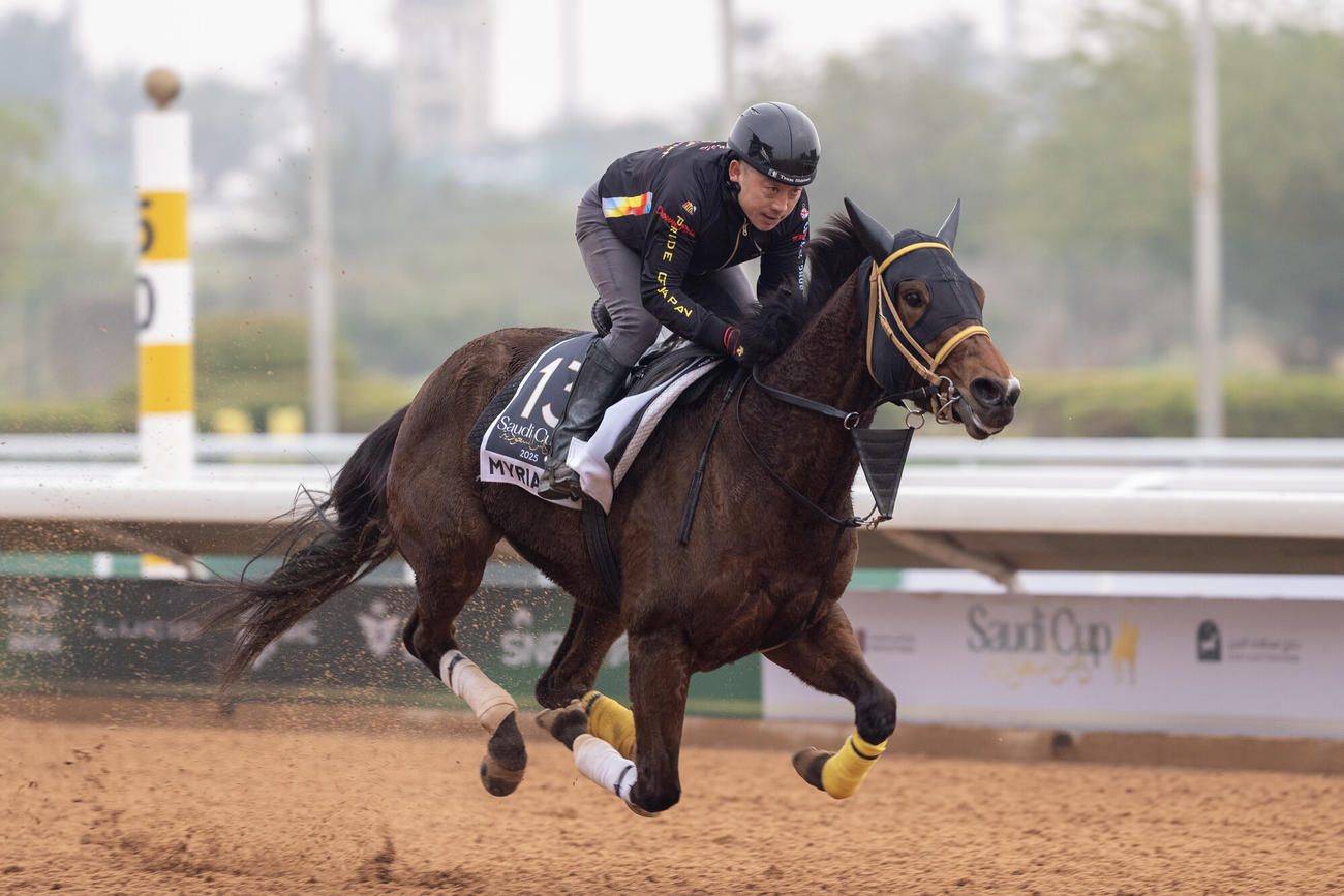 18日朝のミリアッドラヴと松田助手（C）Jockey Club of Saudi Arabia／Mathea Kelley